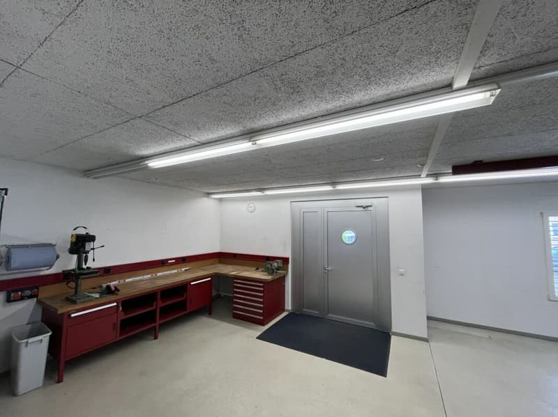 Gewerbeliegenschaft / Potentielle Eigentumswohnung (3)