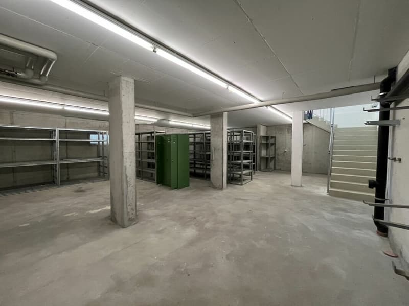 Gewerbeliegenschaft / Potentielle Eigentumswohnung (12)