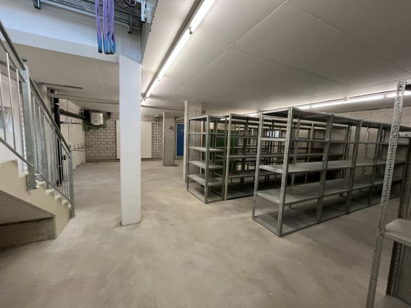 Gewerbeliegenschaft / Potentielle Eigentumswohnung (11)