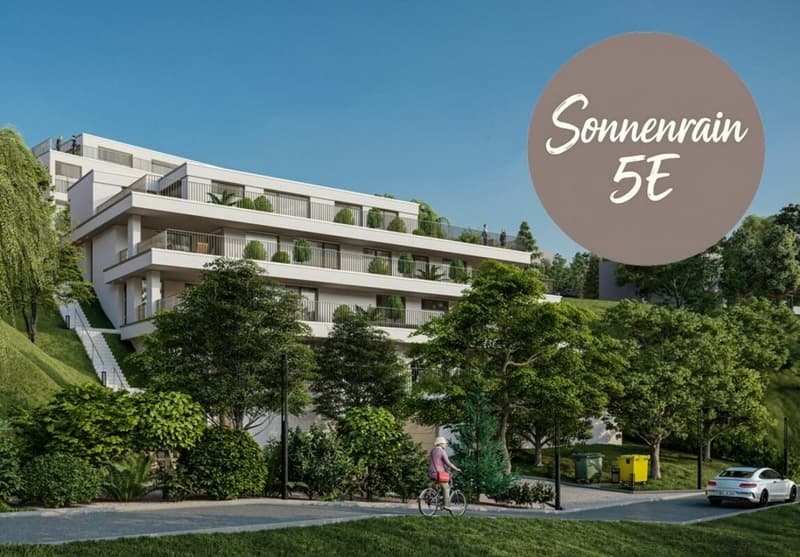 Neubau Terrassenwohnungen - Döttingen (5E) (1)