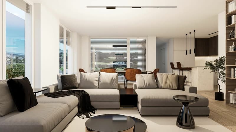 Neubau Terrassenwohnungen - Döttingen (5E) (7)