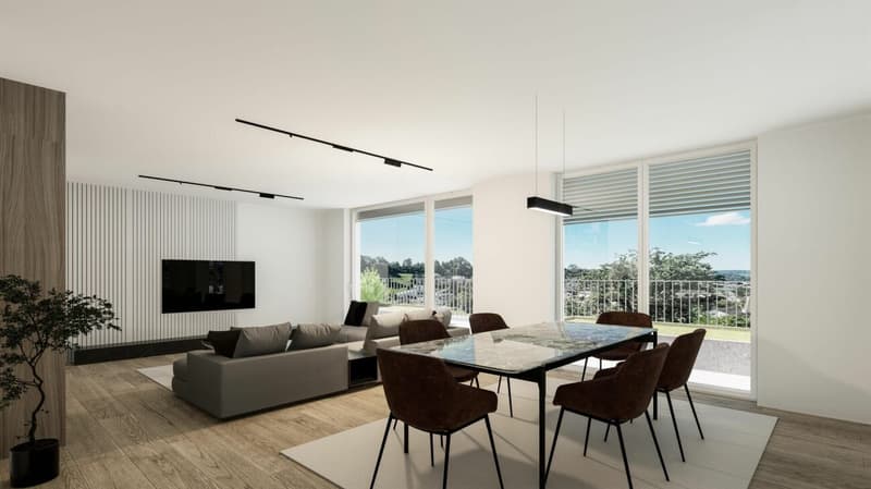 Neubau Terrassenwohnungen - Döttingen (5B) (6)