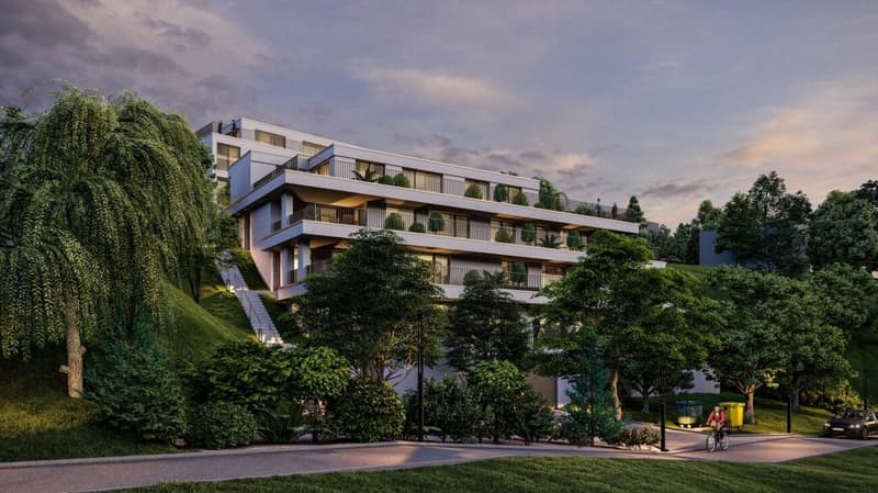 Neubau Terrassenwohnungen - Döttingen (5B) (5)