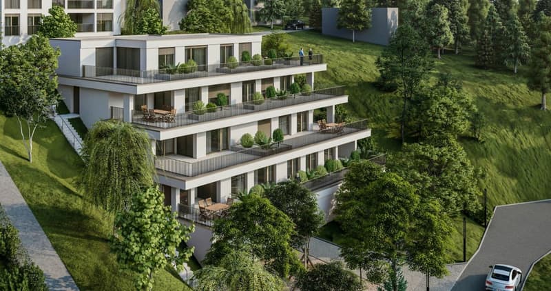 Neubau Terrassenwohnungen - Döttingen (5D) (3)
