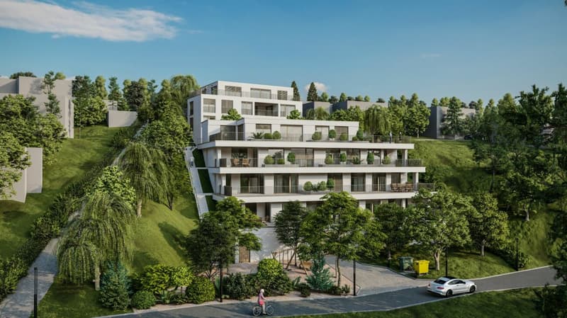 Neubau Terrassenwohnungen - Döttingen (5D) (8)