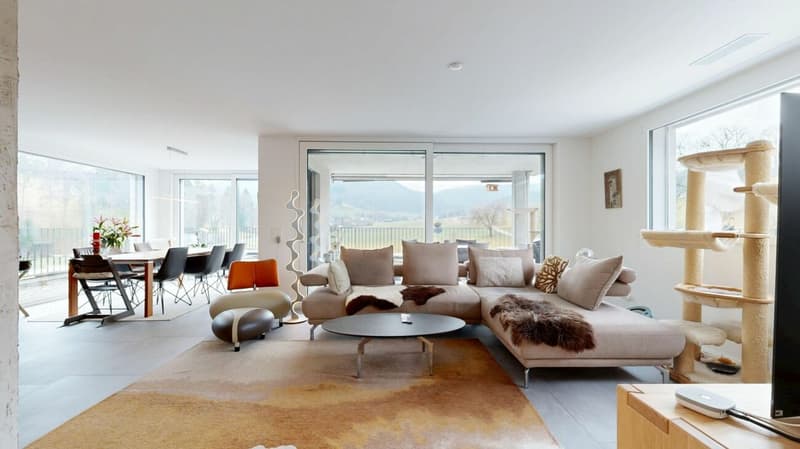 Hochwertige 3 1/2-Zimmer Attikawohnung (8)
