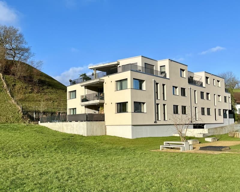 Hochwertige 3 1/2-Zimmer Attikawohnung (5)
