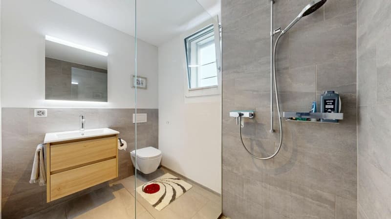 Hochwertige 3 1/2-Zimmer Attikawohnung (12)