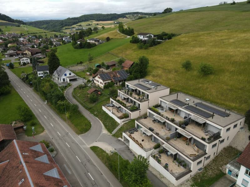 4.5-Zimmer Terrassenwohnung (3)