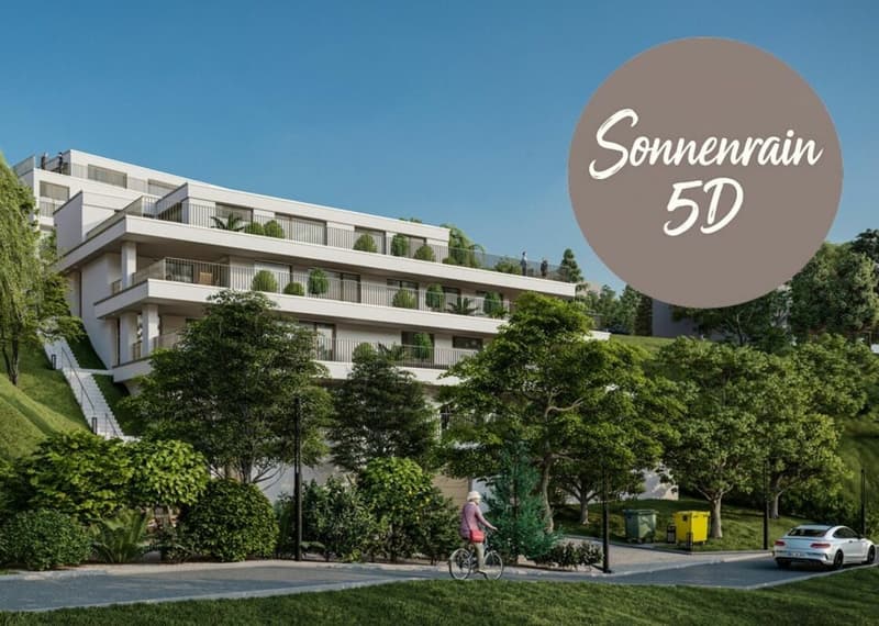 Neubau Terrassenwohnungen - Döttingen (5D) (1)