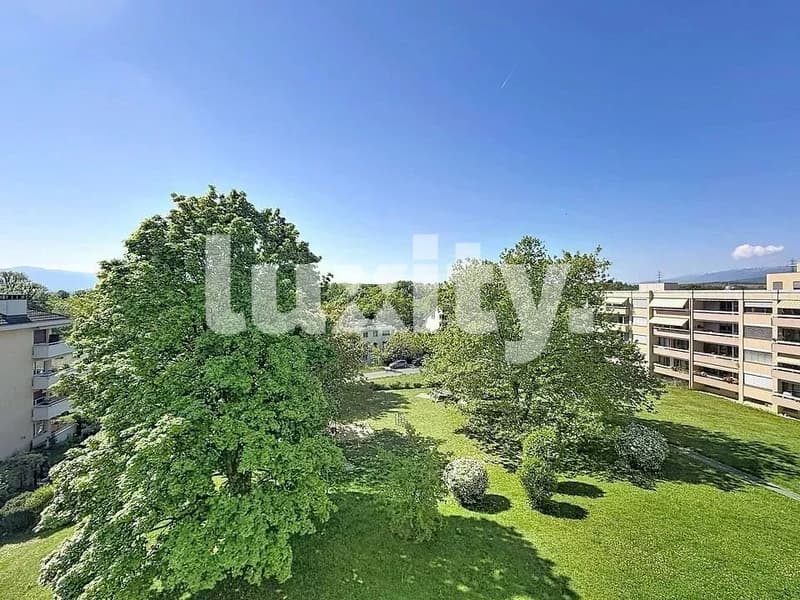 For rent in Nyon ? Stunning apartment with lake view (2)