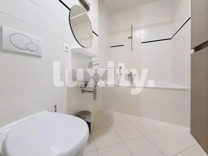 Superbe appartement à Carouge (4)