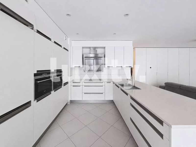 Superbe appartement à Carouge (1)