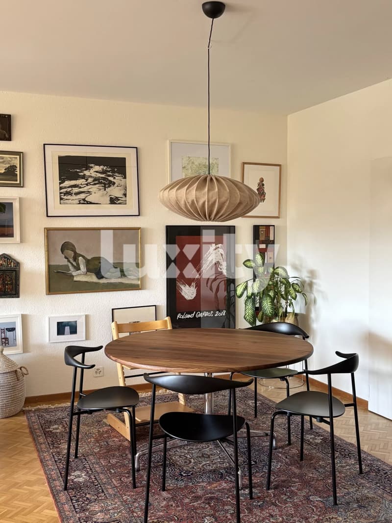 Superbe appartement avec terrasse (3)