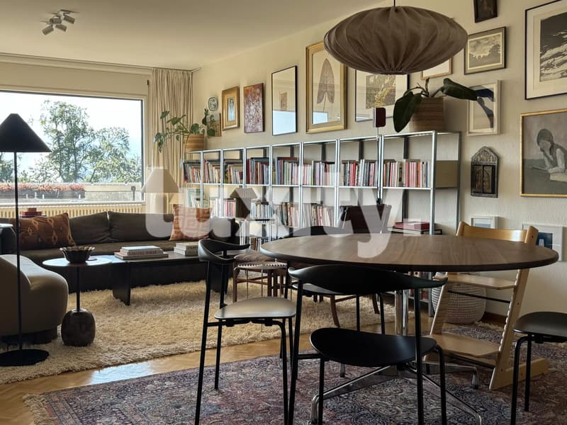 Superbe appartement avec terrasse (1)