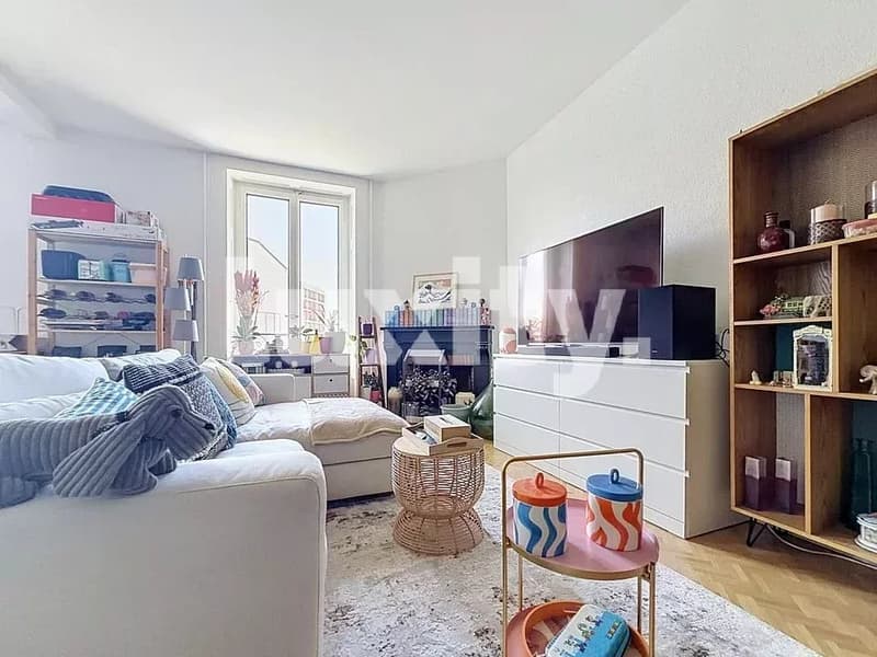 Bel appartement entièrement rénové (1)