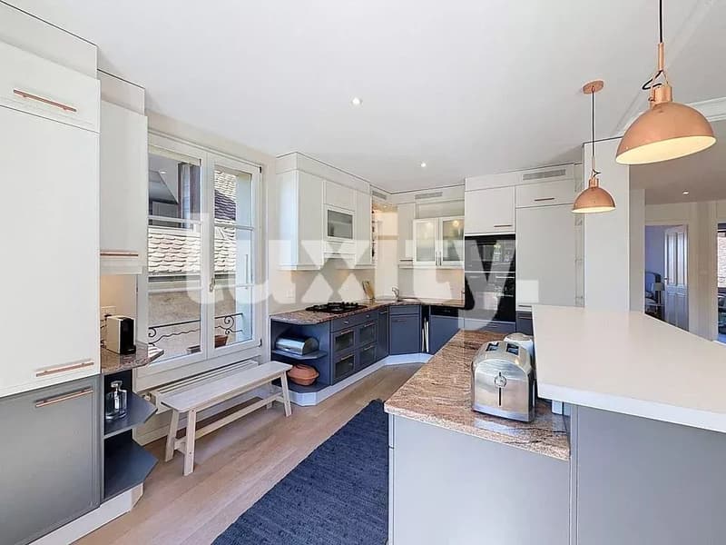 APPARTEMENT MEUBLÉ À DEUX PAS DU VIEUX CAROUGE (3)