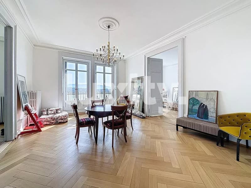 Spacieux Appartement Haussmannien avec vue sur le jet d'eau (3)