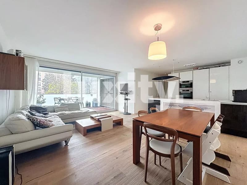 Appartement meublé 4 pièces avec grande terrasse (2)