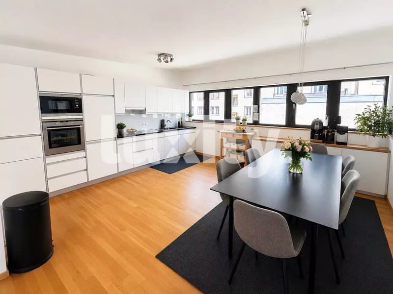 DUPLEX CONTEMPORAIN AU C?UR DES EAUX-VIVES (3)