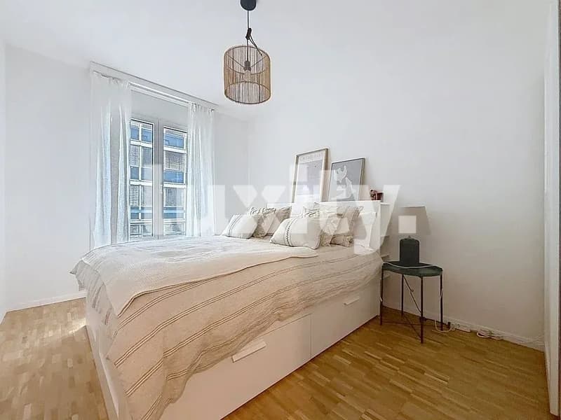 Superbe appartement meublé à Plainpalais (2)