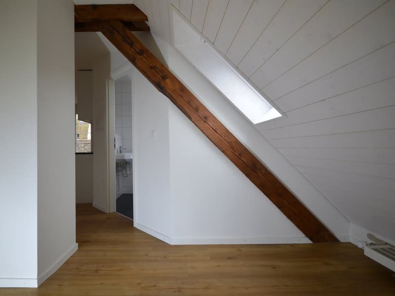 Charmante Dach-Wohnung 2.5 Zi. am Schmittiplatz in Pratteln (12)