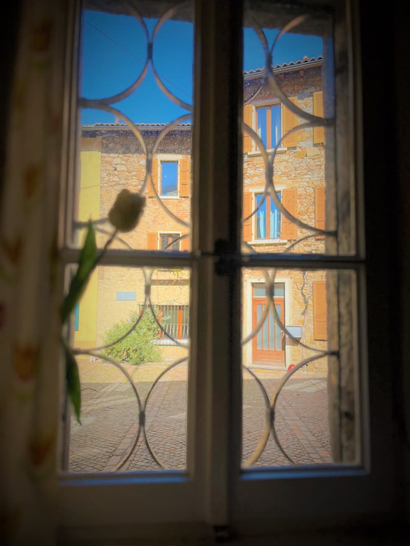 view from a window with a small flower on the window sill to a courtyard and building in the background