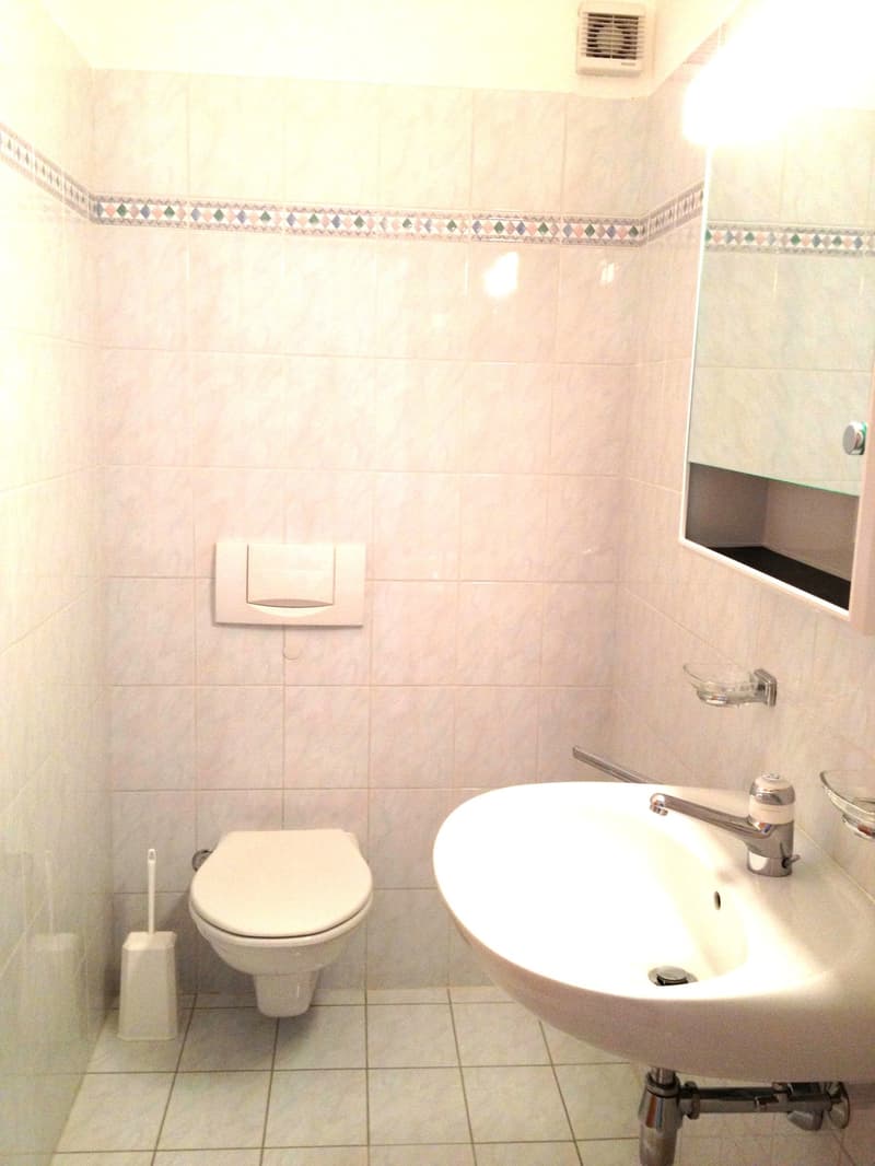 Appartamento 3.5 locali con giardino a Manno (12)