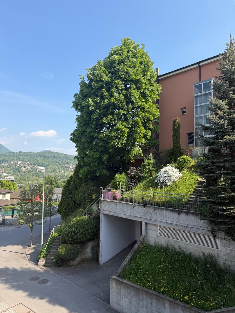 Appartamento 3.5 locali con giardino a Manno (2)