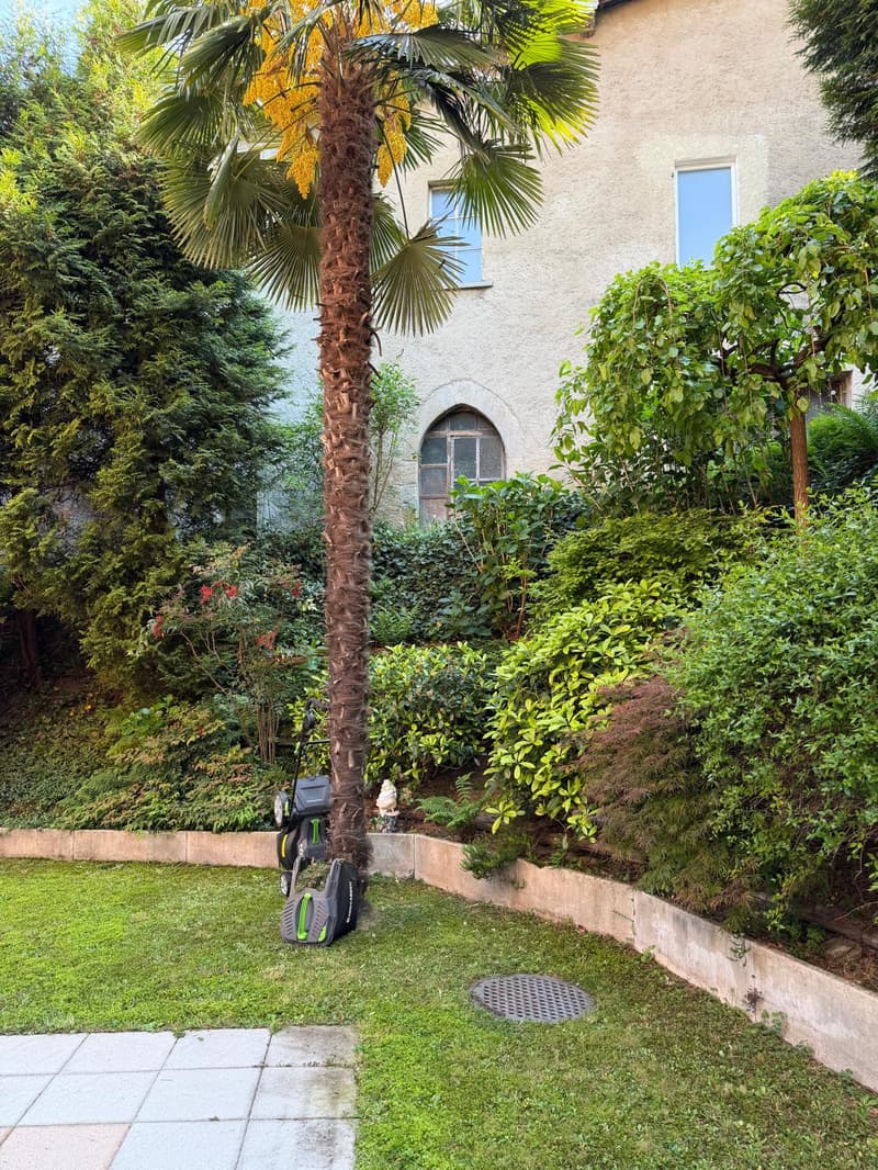 Appartamento 3.5 locali con giardino a Manno (5)