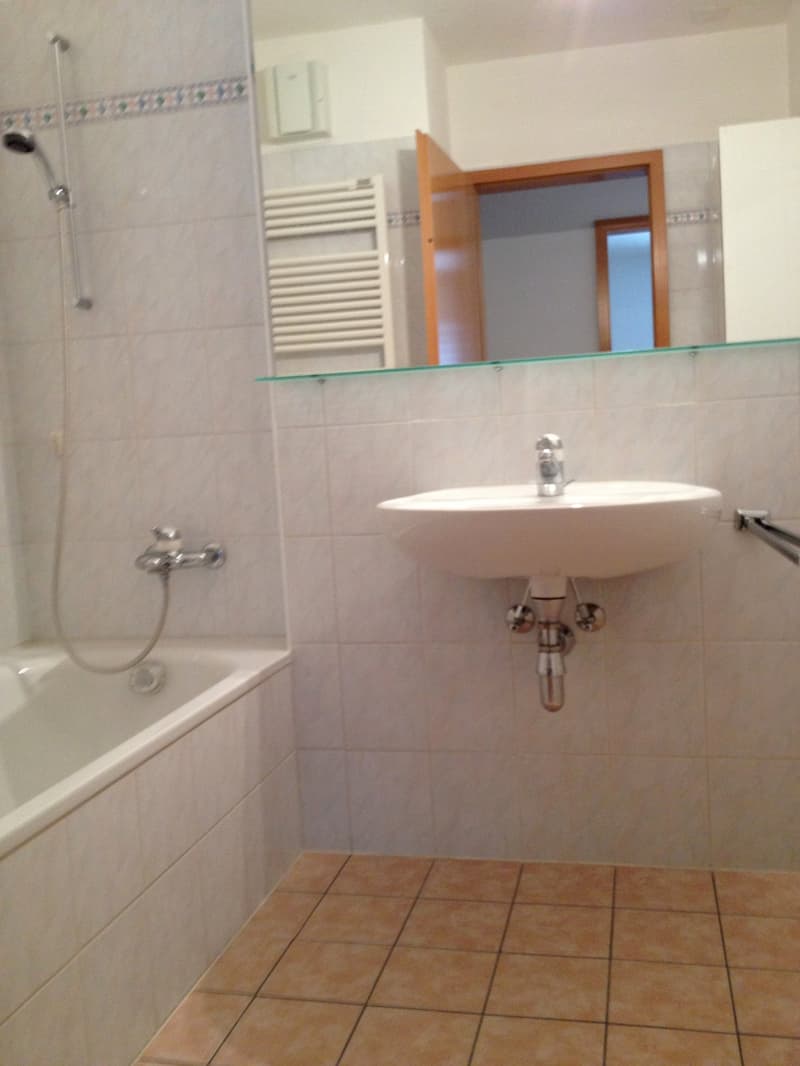 Appartamento 3.5 locali con giardino a Manno (11)