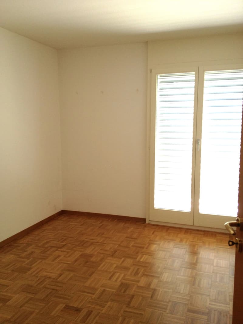 Appartamento 3.5 locali con giardino a Manno (9)