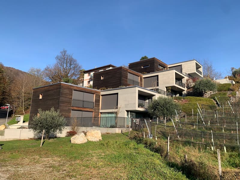 Eleganza, spazio e natura – 4.5 locali con vista vigneti e lago (1)