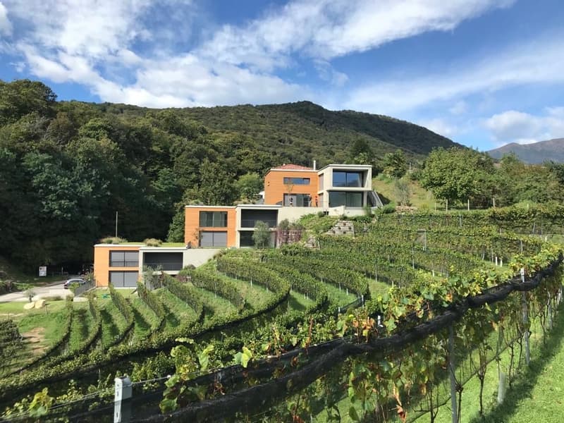 Eleganza, spazio e natura – 4.5 locali con vista vigneti e lago (2)
