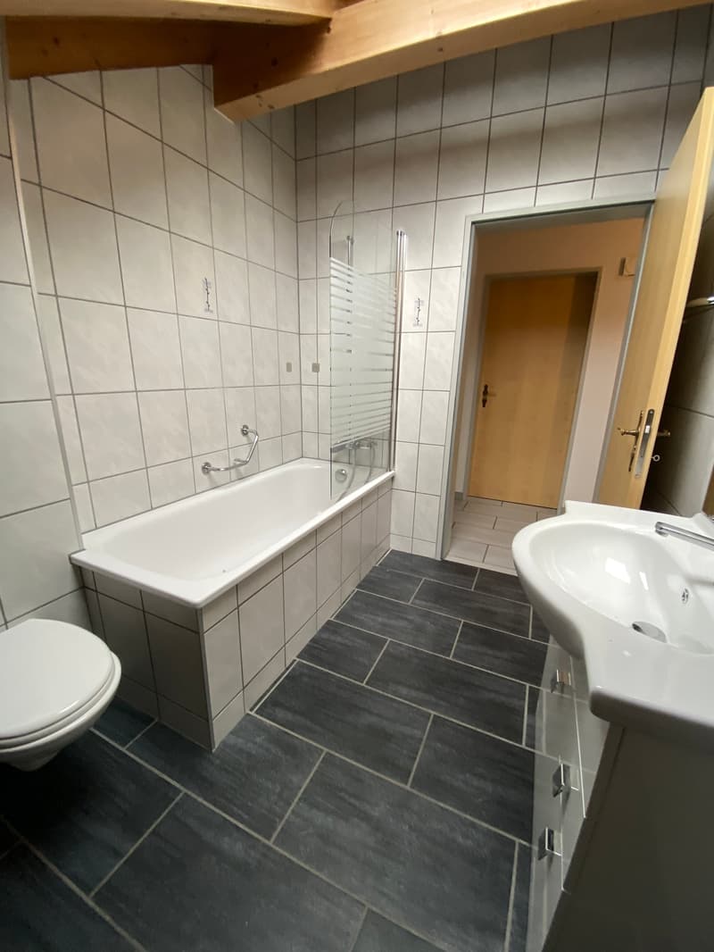 Wunderschöne 4.5 Zimmer-DG-Wohnung mit Panoramablick (5)