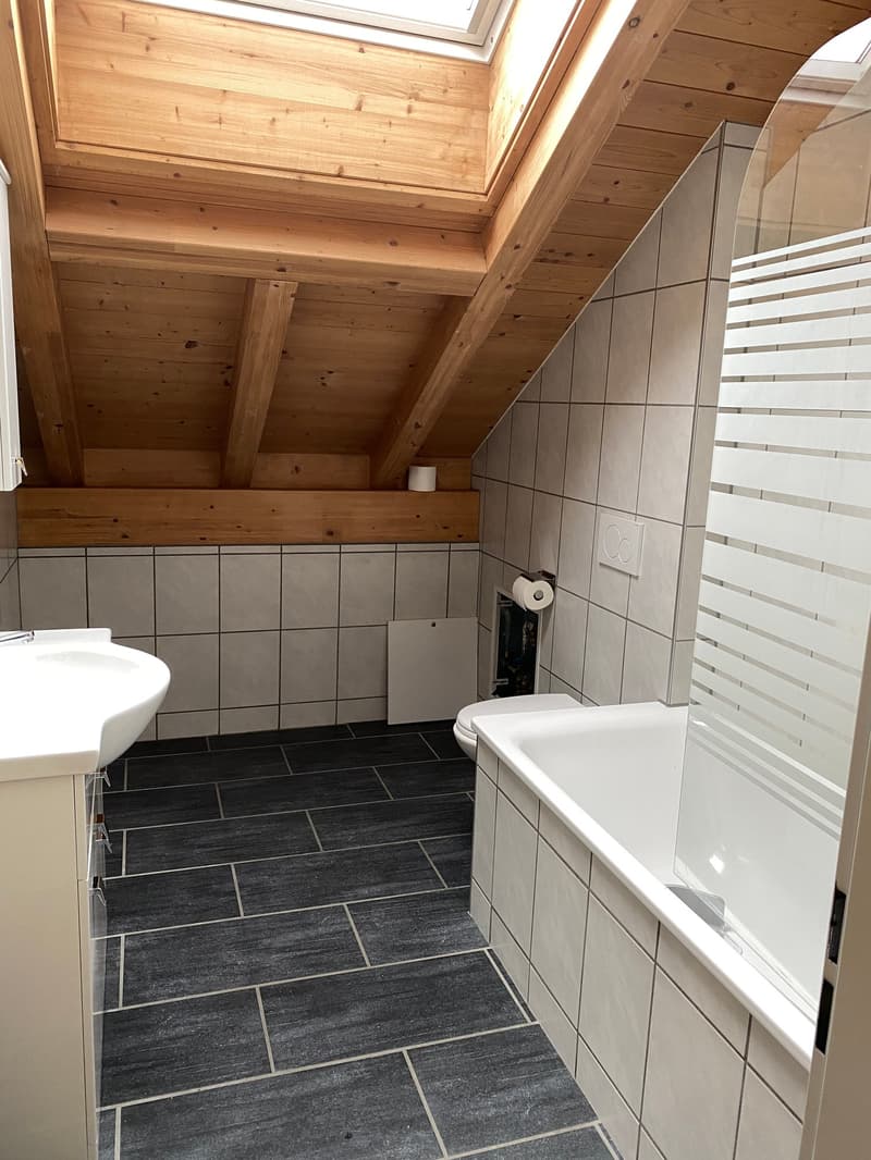 Wunderschöne 4.5 Zimmer-DG-Wohnung mit Panoramablick (4)