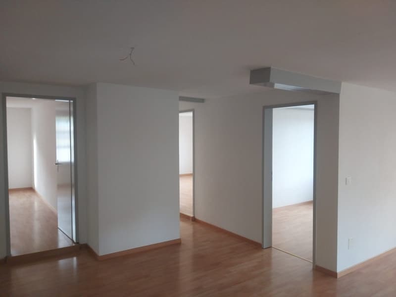 Empty room with white walls, wooden floor, glass doors, and ceiling light