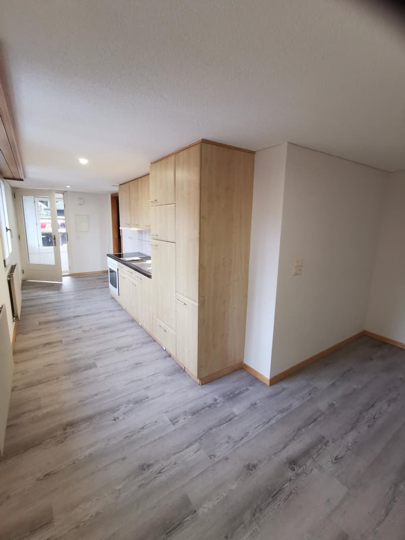 Studio 1. OG in älterer Liegenschaft (3)