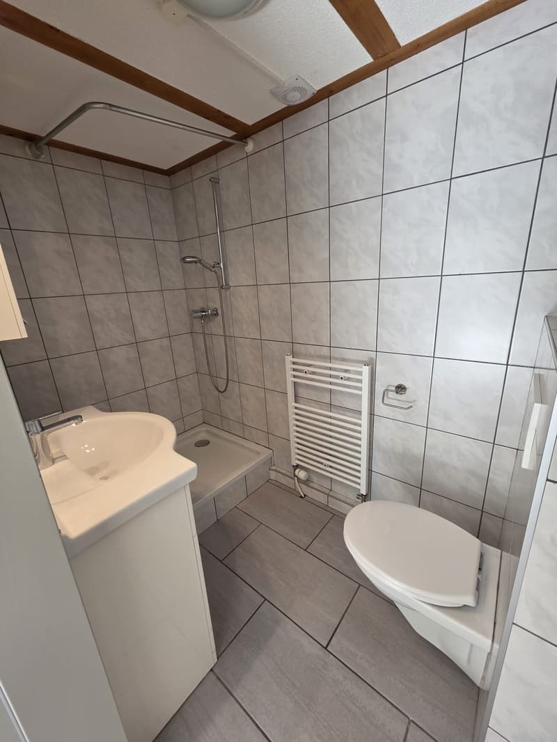 Sehr zentrales Studio im EG in der Stadt Thun (4)