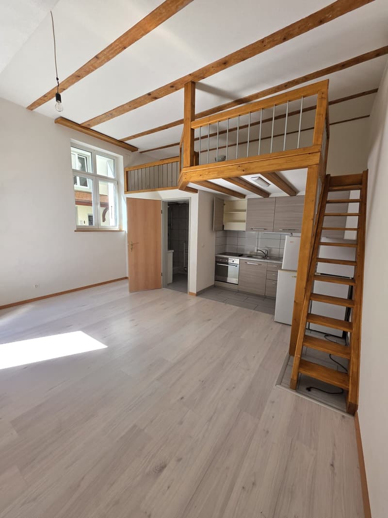 Sehr zentrales Studio im EG in der Stadt Thun (2)