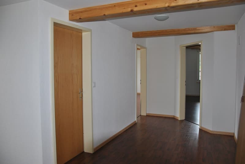 Ländliche 5.5 Zimmer Wohnung (8)