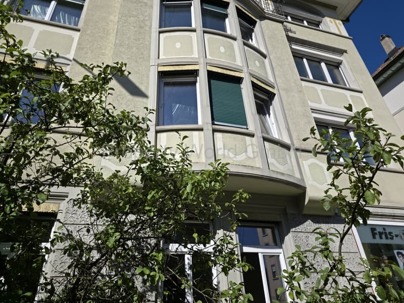 Renditekräftiges Mehrfamilienhaus im Riethüsliquartier (2)