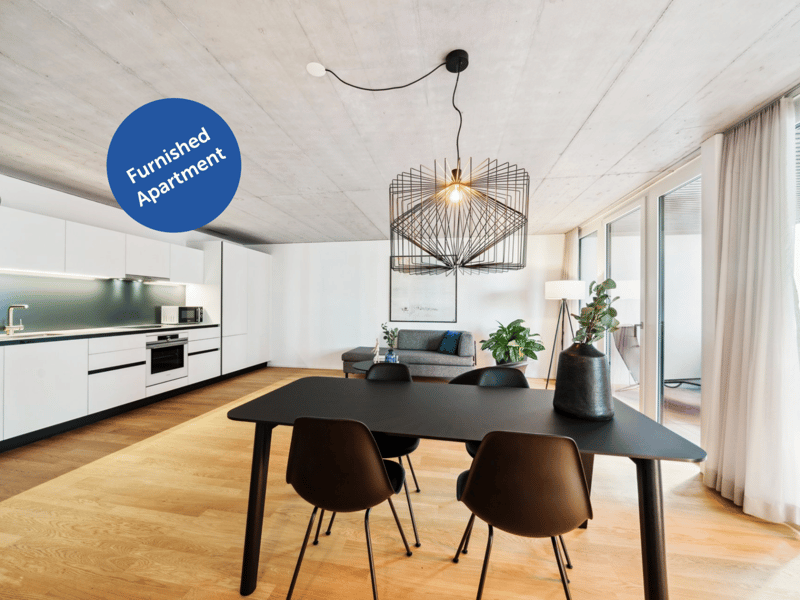 Luzern - Hochwertig möblierte Apartments im neuen Tribschenquartier (1)