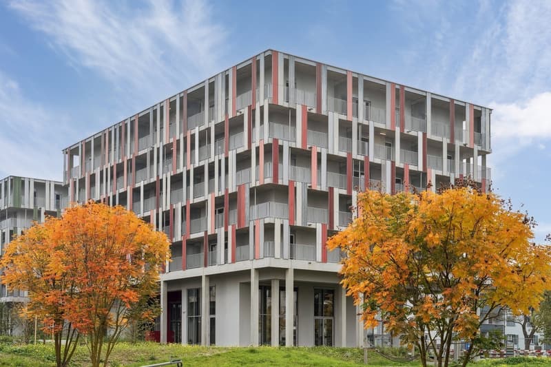 Design-Apartments im Lisbon-Style Direkt am Bahnhof Muttenz (10)