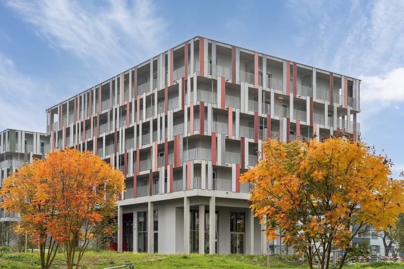 Design-Apartments im Lisbon-Style  Direkt am Bahnhof Muttenz (12)