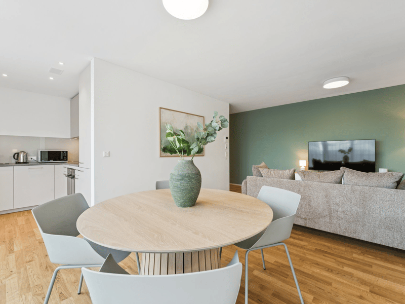 Möblierte Apartments im Oslo Style | LOU Luzern (5)