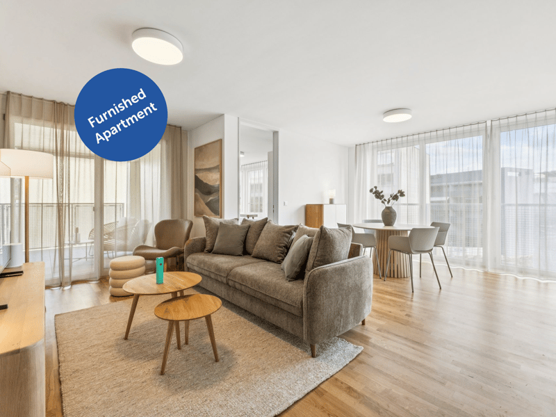 Möblierte Apartments im Oslo Style | LOU Luzern (1)