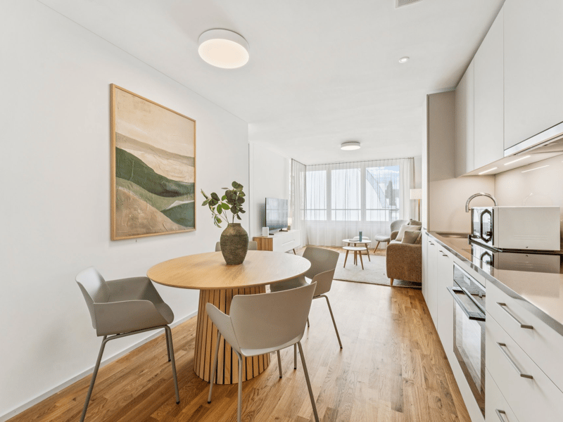 Möblierte Apartments im Oslo Style | LOU Luzern (3)