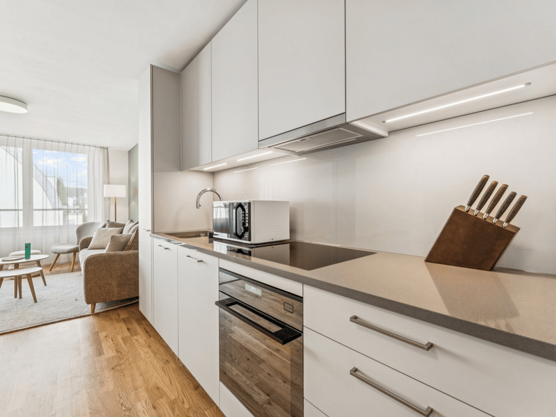 Möblierte Apartments im Oslo Style | LOU Luzern (7)