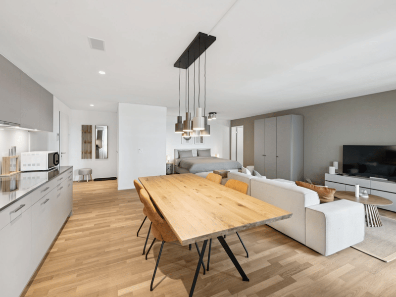 Möblierte Apartments mit Madrid Flair  direkt im grössten Shoppingcenter der Schweiz! (4)
